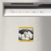 人生は懸命 マグネット (インサイチュ (食洗機))