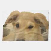 「人生は最も厳しい学校」ドッグアートプリント キッチンタオル (横)