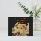 「人生は最も厳しい学校」ドッグアートプリント ポストカード (スタンド正面)