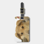 「人生は最も厳しい学校」ドッグアートプリント ラゲッジタグ (正面縦)