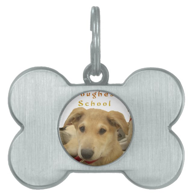 「人生は最も厳しい学校」ドッグ アート プリント ペットネームタグ (正面)