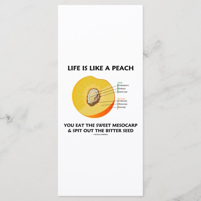 人生は桃のように甘い食べメソカプが吐き出す (正面)