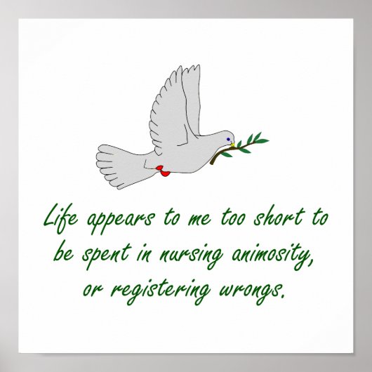 人生は私には短すぎるように見える – 許し引用文 ポスター (正面)