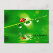 人生は美しいモチベーション ポストカード (正面)