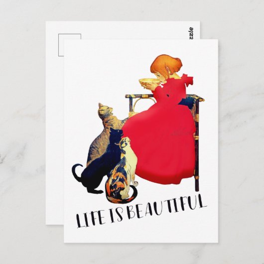 人生は美しい赤猫たち |はがき ポストカード (正面/裏面)