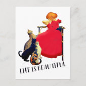 人生は美しい赤猫たち |はがき ポストカード (正面)