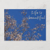 人生は美しい ポストカード (正面)