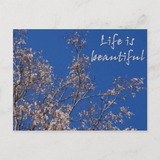 人生は美しい ポストカード (正面)
