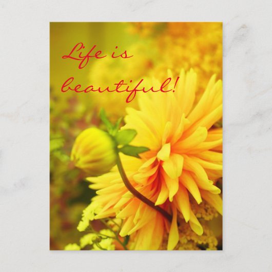 人生は美しい | Golden Yellow Dahlias ポストカード (正面)