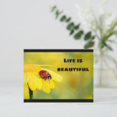 人生は美しい – Ladybug ポストカード (スタンド正面)