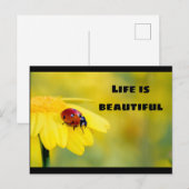 人生は美しい – Ladybug ポストカード (正面/裏面)