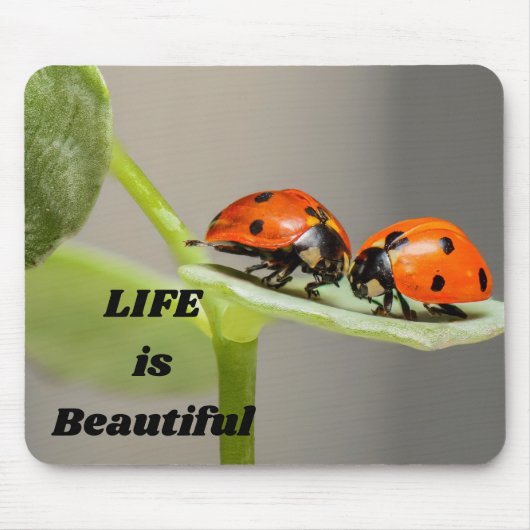 人生は美しい – Ladybug マウスパッド (正面)
