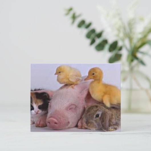 人生は良い ポストカード (スタンド正面)