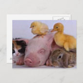 人生は良い ポストカード (正面/裏面)