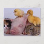 人生は良い ポストカード (正面)