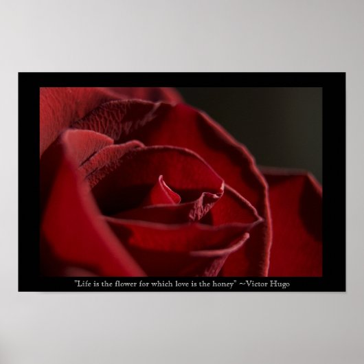人生は花 – 赤いバラ ポスター (正面)