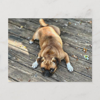 人生は荒れている ポストカード