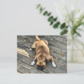 人生は荒れている ポストカード (スタンド正面)