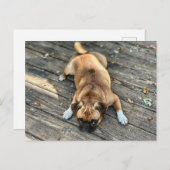 人生は荒れている ポストカード (正面/裏面)