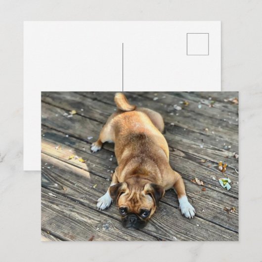 人生は荒れている ポストカード (正面/裏面)