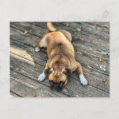 人生は荒れている ポストカード (正面)