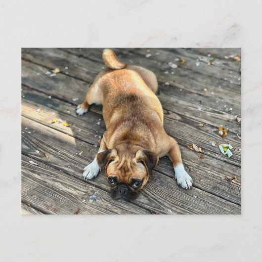 人生は荒れている ポストカード (正面)