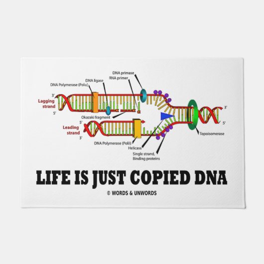 人生はDNA分子生物学のユーモアを真似ただけ ドアマット (正面)
