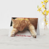 人生もしは重すぎる感動的カード猫2 カード (黄色い花)