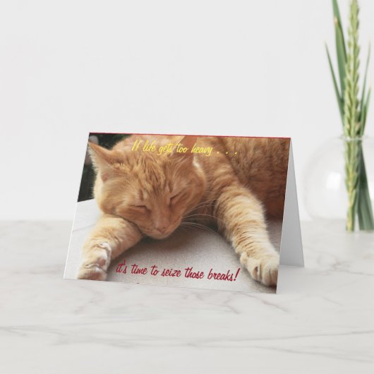 人生もしは重すぎる感動的カード猫2 カード (正面)