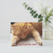 人生もしは重すぎる感動的引用文猫2 ポストカード (スタンド正面)