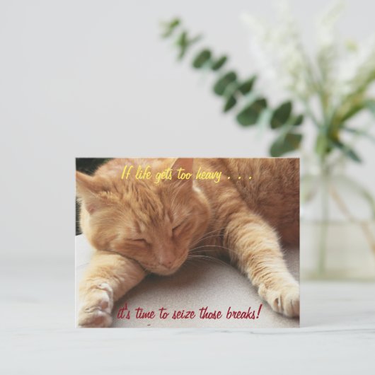 人生もしは重すぎる感動的引用文猫2 ポストカード (スタンド正面)