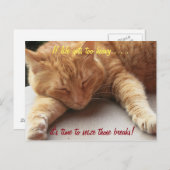 人生もしは重すぎる感動的引用文猫2 ポストカード (正面/裏面)