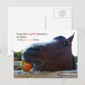 人生シンプルの楽しみ… ポストカード (正面/裏面)