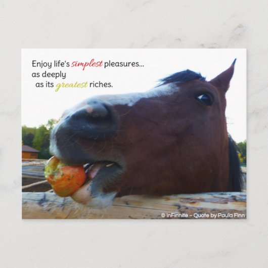 人生シンプルの楽しみ… ポストカード (正面)