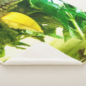 人生与えが終わったら シェルパブランケット (3/4)