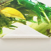 人生与えが終わったら シェルパブランケット (3/4)