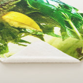 人生与えが終わったら シェルパブランケット (3/4)