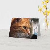 人生吸の励ましここにいる カード (黄色い花)