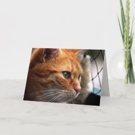 人生吸の励ましここにいる カード