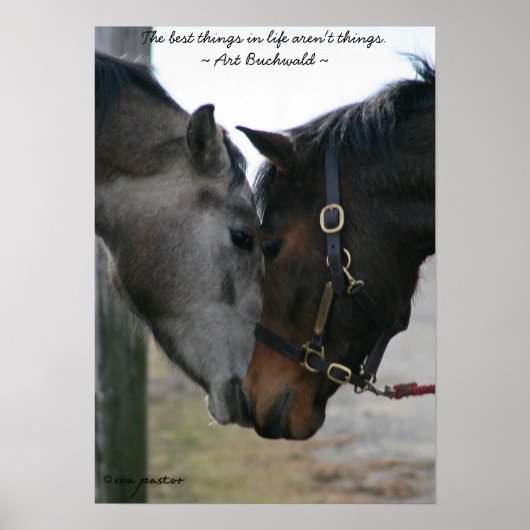 人生最高ののポスター ポスター (正面)