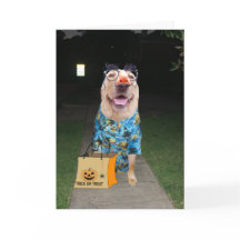 人間おもしろいのハロウィンカードに扮した研究所