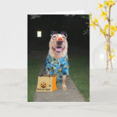 人間おもしろいのハロウィンカードに扮した研究所 カード (黄色い花)