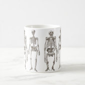 人間およびサルの骨組霊長目のミッシングリンクのマグ コーヒーマグカップ (中央)