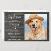 人間がペットと結婚素朴す結婚る (正面/裏面)