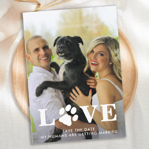 人間が愛犬と結婚結婚する セーブザデート