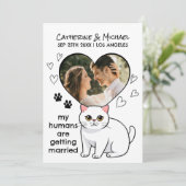 人間が結婚するかわいい猫好きズハンドドロー セーブザデート (スタンド正面)