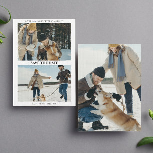 人間が結婚する日を犬が結婚救う 招待状