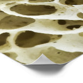 人間のお尻骨から拡大した多孔質のテクスチャ ポスター (角)