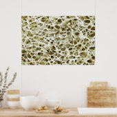 人間のお尻骨から拡大した多孔質のテクスチャ ポスター (キッチン)