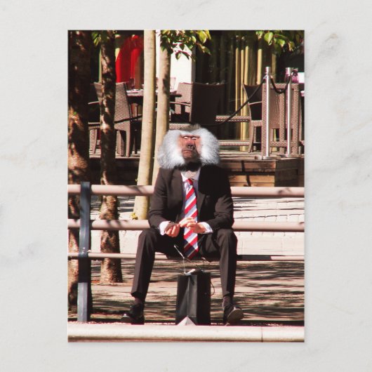 人間のサル ポストカード (正面)